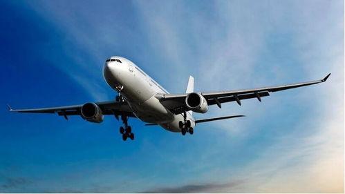 飞机最新爆料电话,电话解锁尖端科技,飞行新时代来临